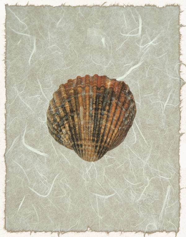- on , Print by Forbes Art, measuring 19 x 15 cm (H x W) framed at 32 x 27 cm £28